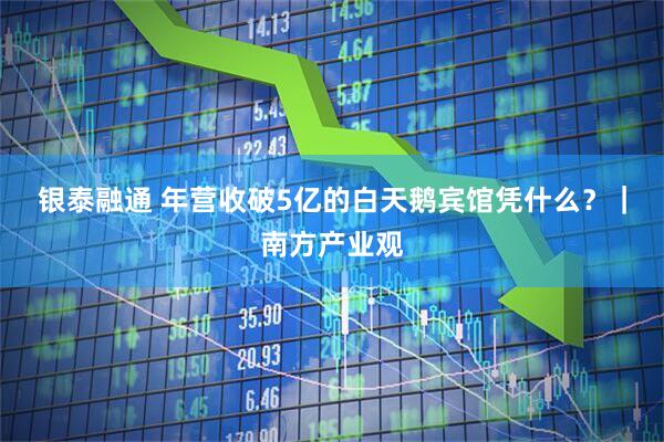 银泰融通 年营收破5亿的白天鹅宾馆凭什么？｜南方产业观