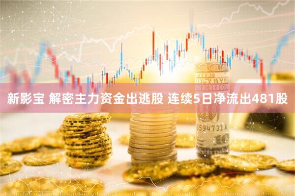 新影宝 解密主力资金出逃股 连续5日净流出481股