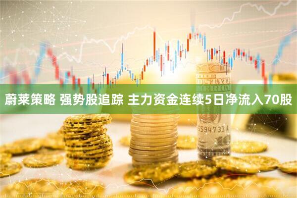 蔚莱策略 强势股追踪 主力资金连续5日净流入70股