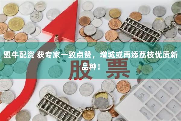 盟牛配资 获专家一致点赞，增城或再添荔枝优质新品种！