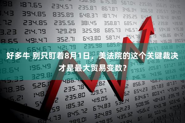 好多牛 别只盯着8月1日，美法院的这个关键裁决才是最大贸易变数？