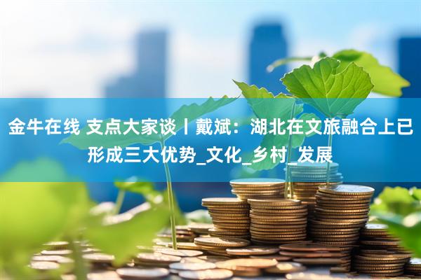 金牛在线 支点大家谈丨戴斌：湖北在文旅融合上已形成三大优势_文化_乡村_发展