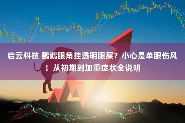 启云科技 鹦鹉眼角挂透明眼屎？小心是单眼伤风！从初期到加重症状全说明