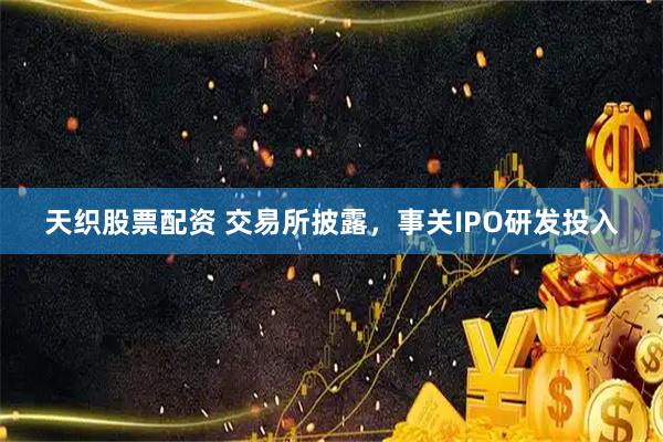 天织股票配资 交易所披露,事关IPO研发投入
