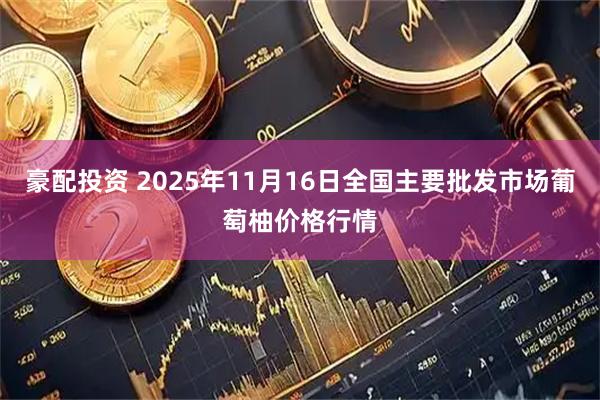豪配投资 2025年11月16日全国主要批发市场葡萄柚价格行情