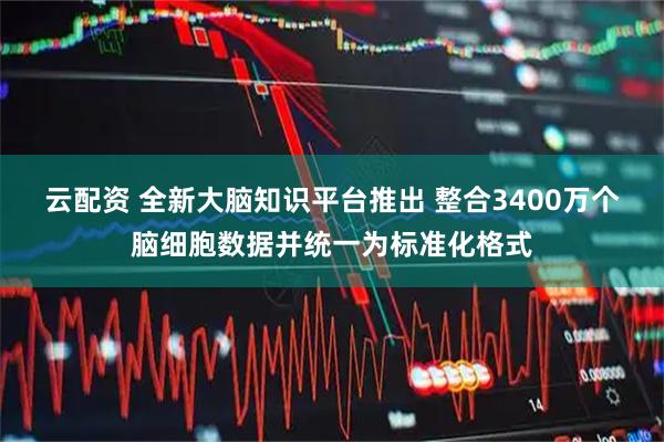 云配资 全新大脑知识平台推出 整合3400万个脑细胞数据并统一为标准化格式