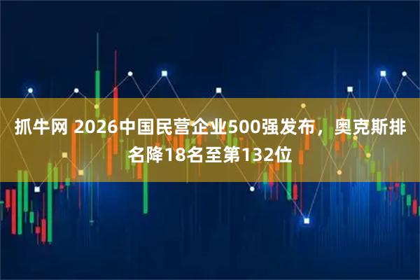 抓牛网 2026中国民营企业500强发布，奥克斯排名降18名至第132位